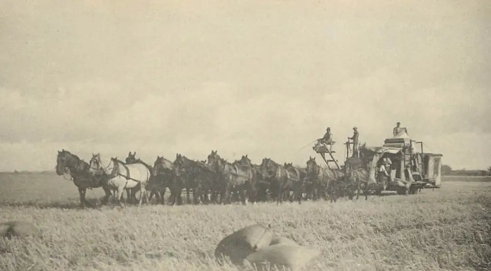 1840s-1850s mexican american war copy