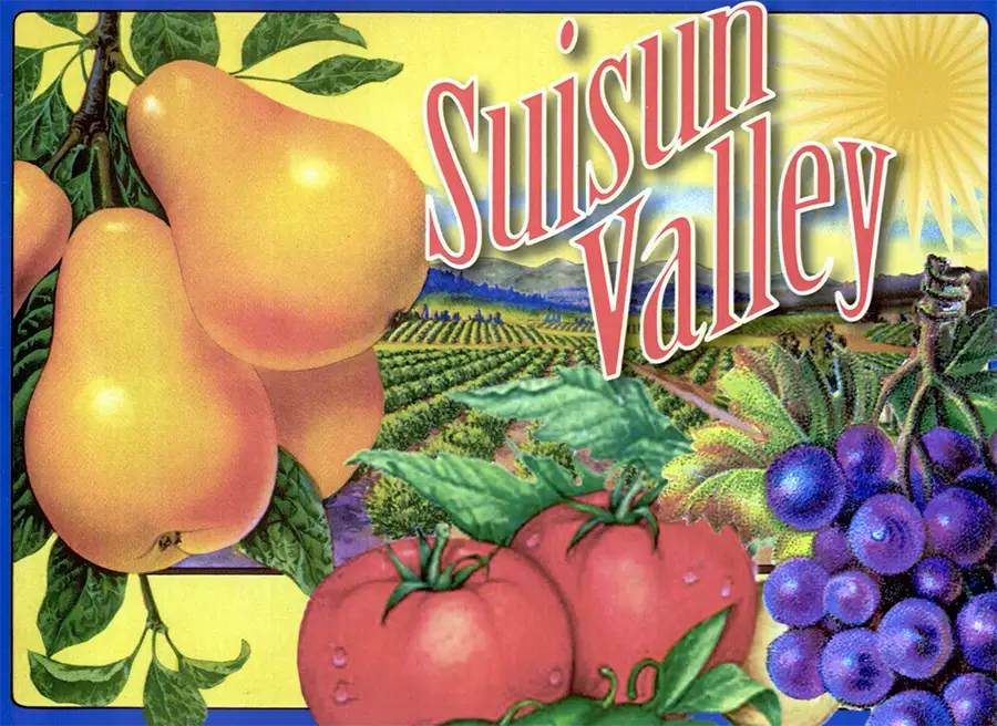 mid-20th century fruit and vegetables